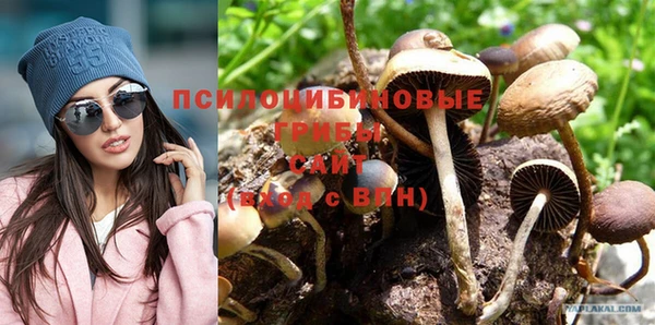 прущая мука Армянск