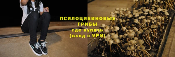 прущая мука Армянск